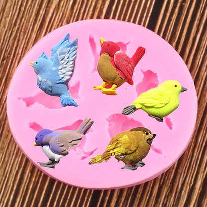 Pigeon Birds Mold