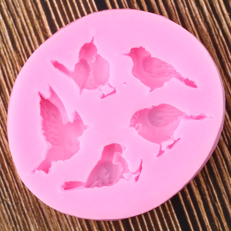 Pigeon Birds Mold